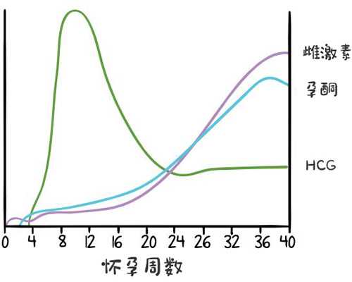 32岁女性做试管一般移植多少次才能成功着床？