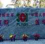 国内供卵卵源有哪些_代孕中心具体位置,宫底前壁子宫肌瘤可以妊娠吗？